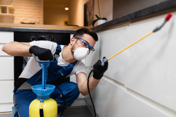 Best Pest Inspection Near Me  in Old Stine, CA
