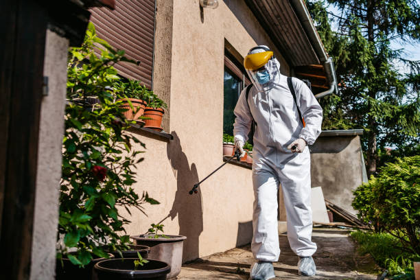 Best Pest Control Near Me  in Old Stine, CA