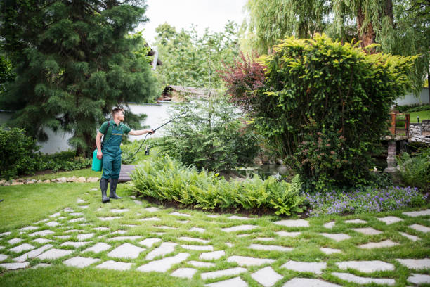 Best Mosquito Control Services  in Old Stine, CA