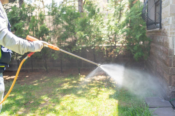Professional Pest Control in Old Stine, CA