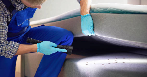 Best Wasp Removal Services  in Old Stine, CA