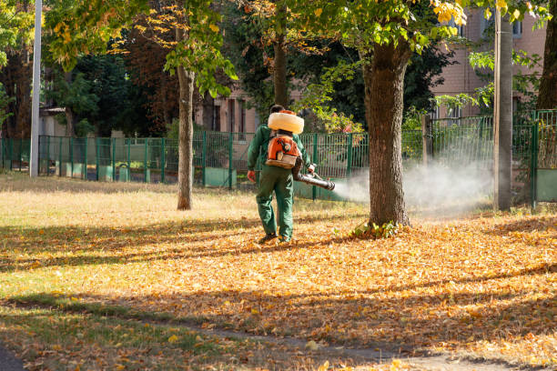 Best Ant Control Services  in Old Stine, CA