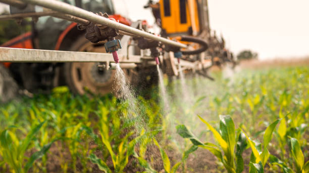 Best Best Pest Control Companies  in Old Stine, CA